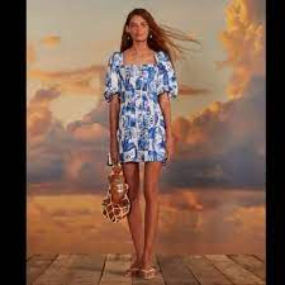 Caroline Constas off white blue linen blend Garden tile Farm mini dress size 2